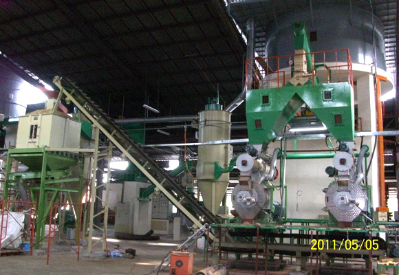 <b>Palm Biomass Fiber and Granulation Line</b>